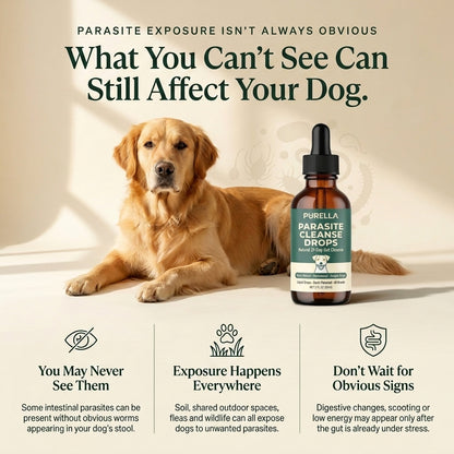 Daily Parasite & Gut Support for Dogs