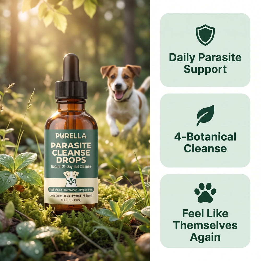 Daily Parasite & Gut Support for Dogs