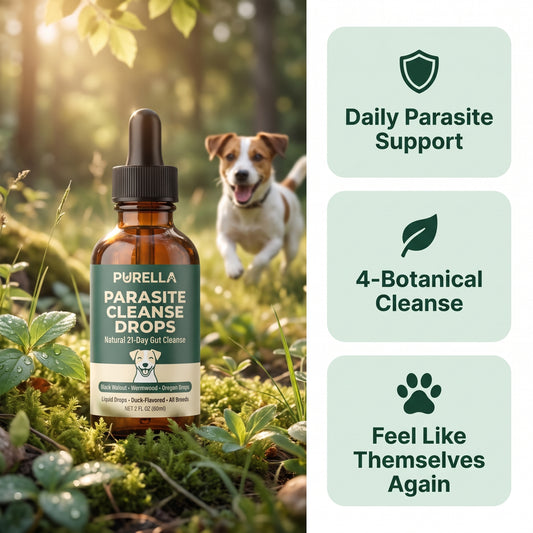 Daily Parasite & Gut Support for Dogs