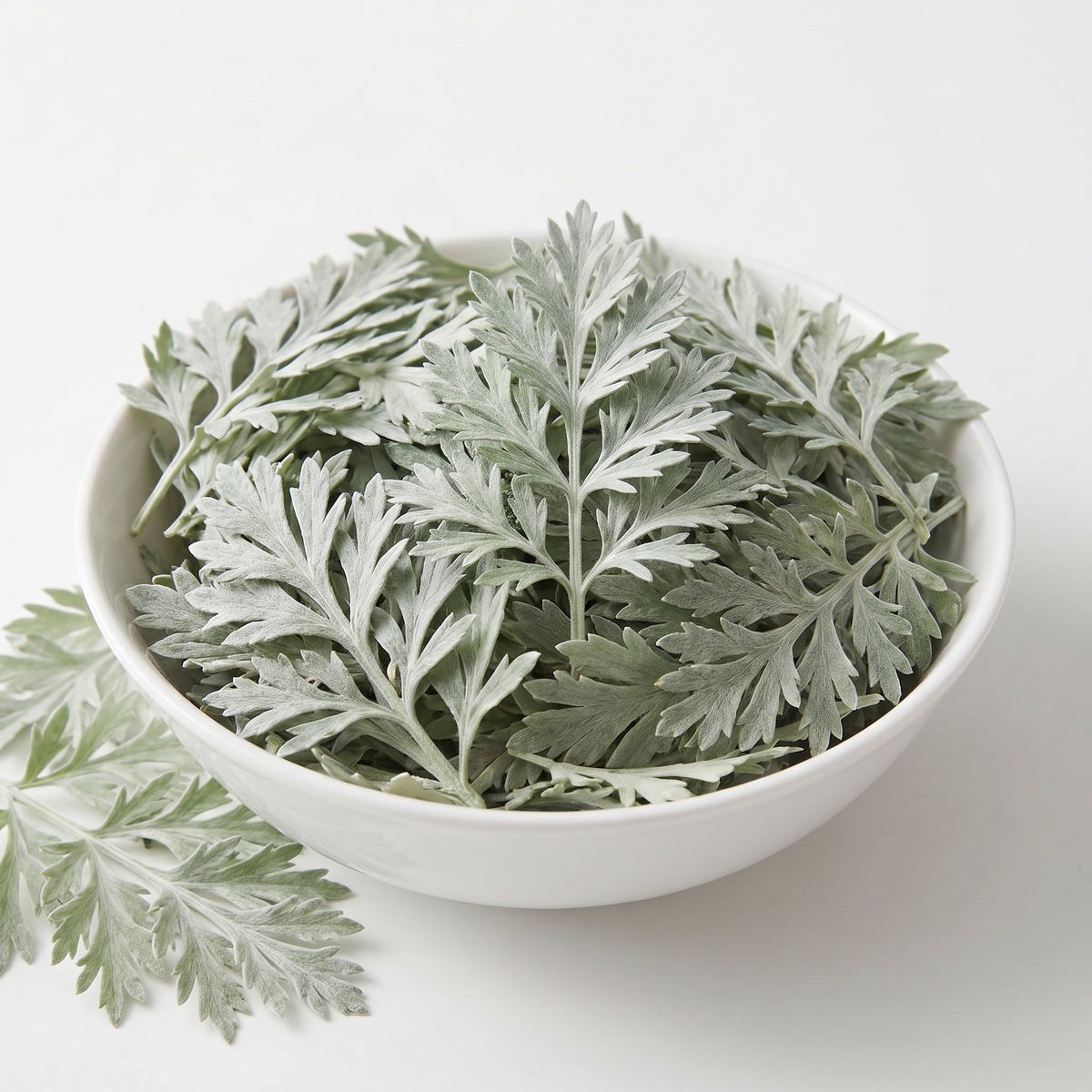 Wormwood Root